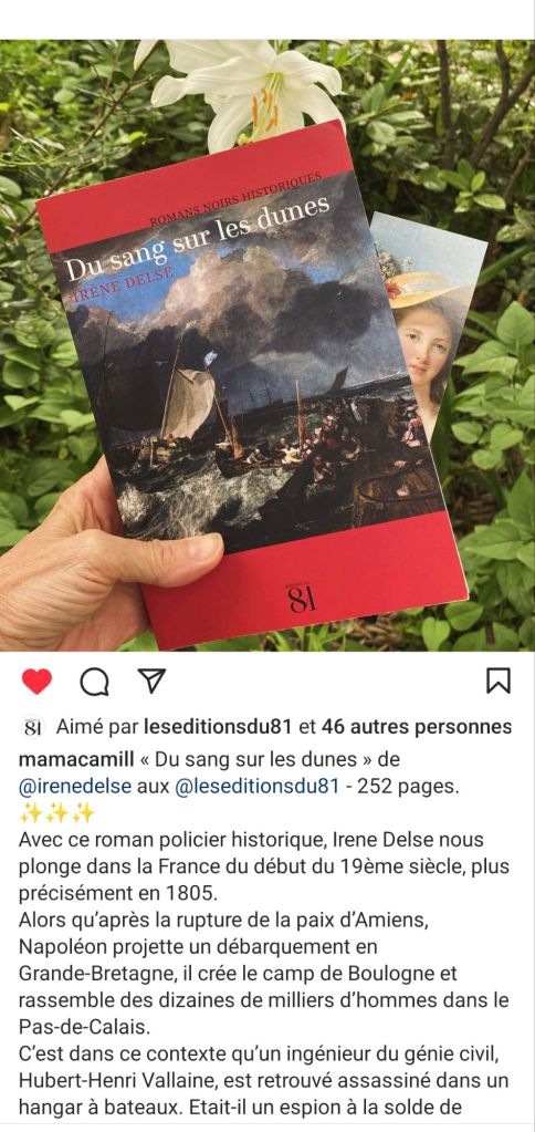 Capture d'écran : post Instagram avec la photo de la couverture du roman